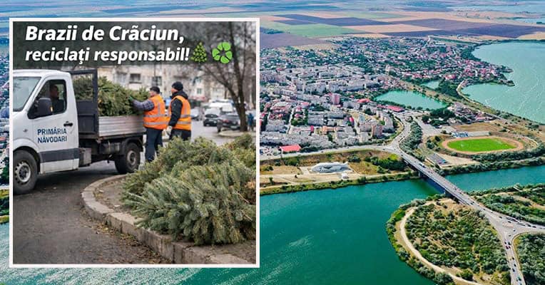 sunteti din navodari si vreti sa aruncati bradul natural din locuinta primaria vine cu o solutie 695bbf44247ea