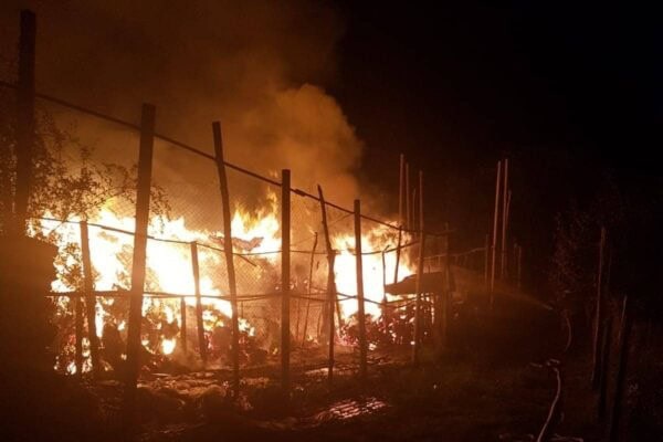 tanar din poarta alba arestat pentru incendierea a 3 000 de baloti de paie 695e33fd7499c