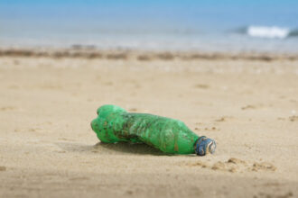 video cercetatorii avertizeaza peste cu microplastic pe masa romanilor marea neagra poluata masiv 6968acfaa76ce