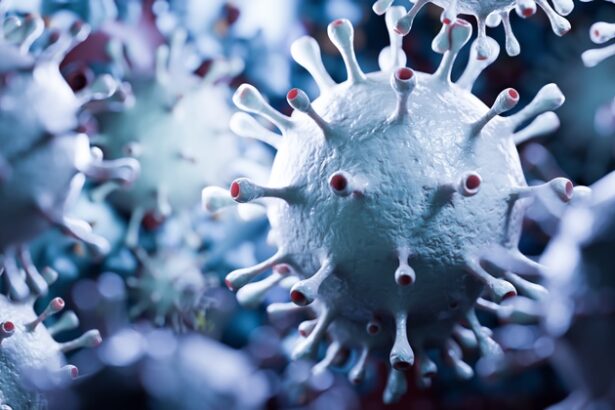 virusul mortal fara leac si fara vaccin care pune lumea in alerta ce este virusul nipah si de ce e periculos 697c5ba9cc455