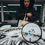 vom manca mai mult plastic decat peste peste 93 din sprotul romanesc contaminat cu microplastic studiu incdm constanta 6968bab75df94