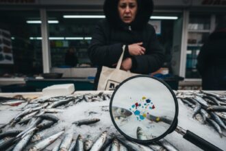 vom manca mai mult plastic decat peste peste 93 din sprotul romanesc contaminat cu microplastic studiu incdm constanta 6968bab75df94