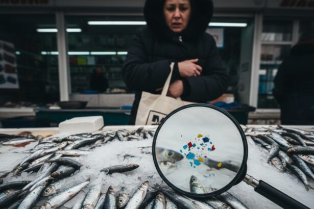 vom manca mai mult plastic decat peste peste 93 din sprotul romanesc contaminat cu microplastic studiu incdm constanta 6968bab75df94