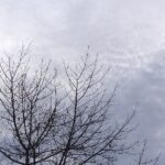 vremea in dobrogea va fi deosebit de calda pentru inceputul lunii ianuarie vezi cand se raceste 695be4fc34f98