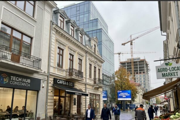 afacerile din constanta in 2026 sectoarele cu sanse de crestere si strategiile realiste pentru a dezvolta 6980c5a006203