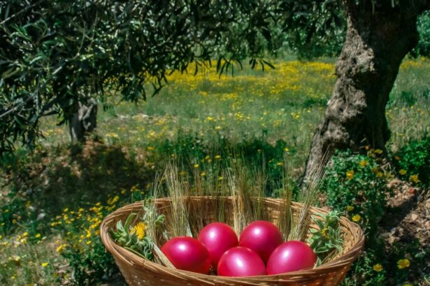 cum va fi vremea de paste 2026 meteorologii au actualizat prognoza pentru luna aprilie 69a03f7cd370d