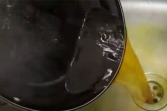 este ok sau nu de fapt sa arunci uleiul incins in chiuveta sau in vasul de toaleta care este adevarul 699bffa9aefd9