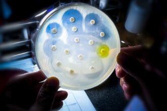 o bacterie veche de 5 000 de ani a fost descoperita intr o pestera din romania cum a reusit sa supravietuiasca 6997383979506