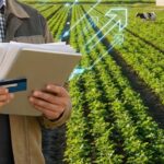 proceduri simplificate pentru fermieri se dau bani mai repede in agricultura dezvoltare rurala pescuit si acvacultura 698efad462aaa