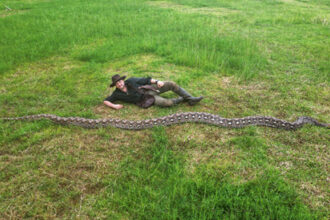 romanul care a descoperit cel mai lung sarpe din lume intrat in cartea recordurilor succesul niciodata nu este al unui singur om 69857eb966c5a