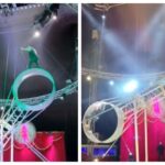 starea de sanatate a acrobatului care a cazut la circul din craiova ar putea ramane paralizat tot restul vietii 69934891344a1