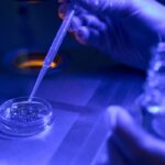 terapia cu celule stem o noua speranta pentru tratarea avc tara noastra are cea mai mare rata de mortalitate prin avc din europa 69984d3702ab0