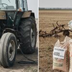 agricultura romaneasca pe butuci din cauza razboiului din golf preturile la combustibil ingrasaminte si transport ii trimit pe fermieri in faliment 69ad56b506a10