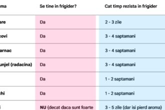 care legume trebuie tinute in frigider de fapt si cat timp rezista 69c781291c76e