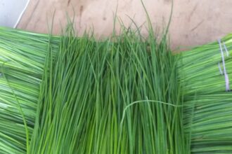 cum sa gatesti arpagicul ca sa te fereasca de avc si de osteoporoza 69a7e68bb2c12