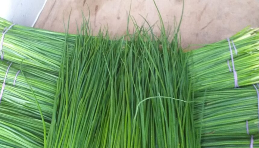 cum sa gatesti arpagicul ca sa te fereasca de avc si de osteoporoza 69a7e68bb2c12