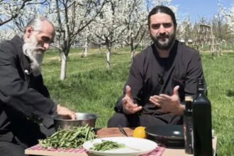 cum se prepara salata de papadie ca la manastire e un leac naturist pentru a elimina toxinele din corp video 69b3c8b8a201f