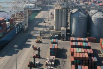 exporturile agroalimentare ale romaniei tutunul si tradingul de cereale domina clasamentul ins 69b968086b93a