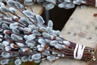 floriile 2026 cand pica in acest an si ce traditii se respecta 69a5c2f43c145