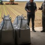 ingrasamintele chimice criza declansata de conflictul din orientul mijlociu se propaga in lant atingand direct agricultura si prin extensie buzunarele consumatorilor 69c10b305c07d