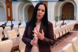 initiative pentru revitalizarea si sustinerea sectorului turistic matichescu psd insista pentru revenirea voucherelor de vacanta si aplicarea unor facilitati fiscale 69b97606b856a