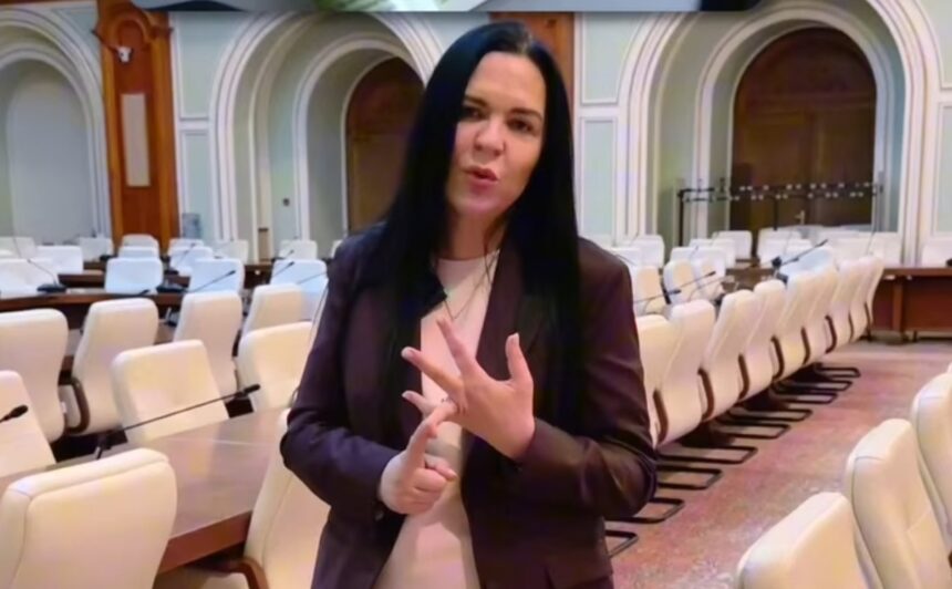 initiative pentru revitalizarea si sustinerea sectorului turistic matichescu psd insista pentru revenirea voucherelor de vacanta si aplicarea unor facilitati fiscale 69b97606b856a
