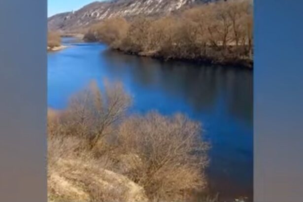 moldova a cerut activarea mecanismului de protectie civila al uniunii europene in urma deversarilor de petrol in nistru 69b43e4f4e972