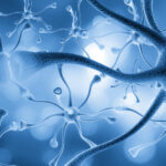 o noua afectiune neurologica rara descoperita recent doar 13 cazuri confirmate 69cbb3044050b