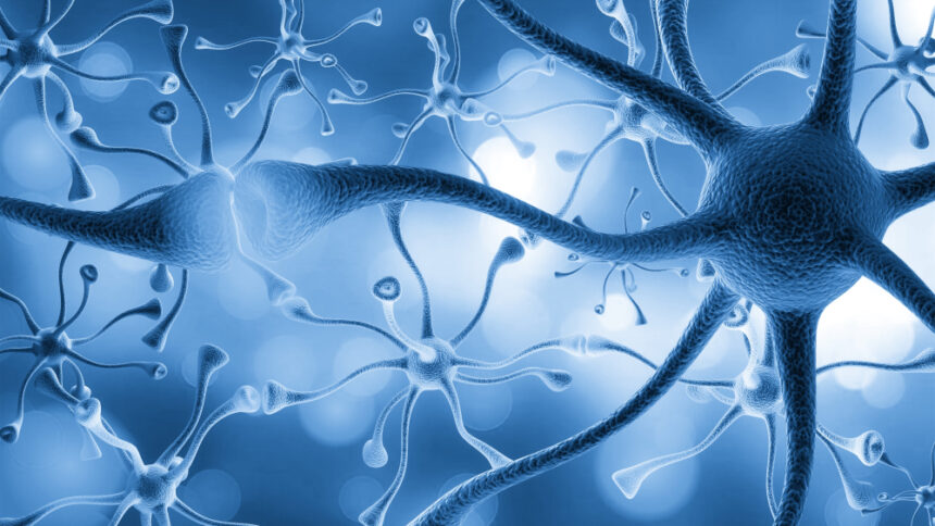 o noua afectiune neurologica rara descoperita recent doar 13 cazuri confirmate 69cbb3044050b