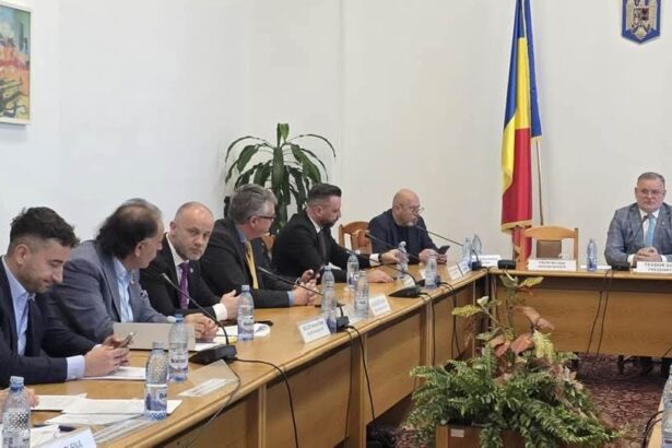 participarea angajatilor la profit hristu aur sustine echilibrul intre stimularea afacerilor si protejarea drepturilor muncii 69b18cdbab0d0