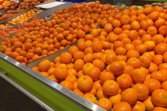 portocalele din supermarket pline de pesticide ce consuma de fapt romanii 69c0e9a89ff86