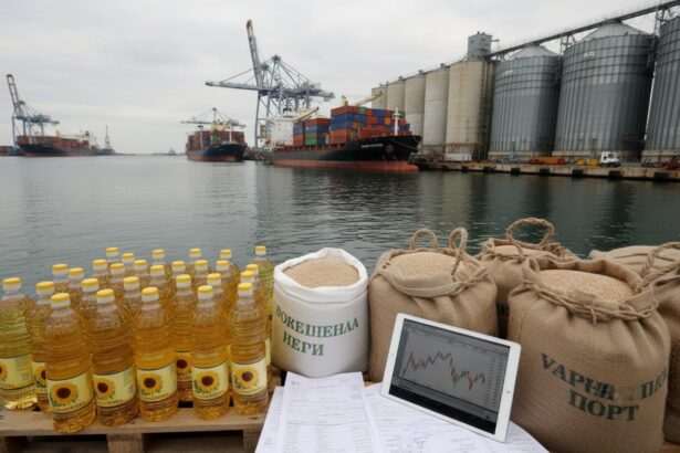 primele cereale din mercosur au ajuns in bulgaria s a dat peste cap toata piata europeana a uleiului de floarea soarelui 69c10b3427527