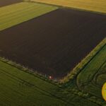 proiect aur limita pentru investitorii din occident la cumpararea de terenuri agricole 69b00804662bd