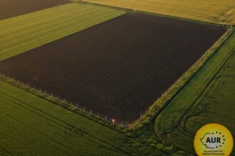 proiect aur limita pentru investitorii din occident la cumpararea de terenuri agricole 69b00804662bd