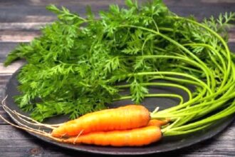 se pot manca frunzele de morcovi raspunsul nu este cel la care te astepti 69a9470800a08