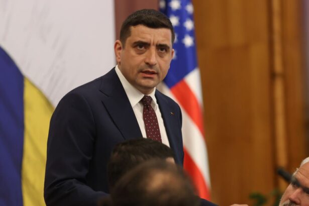 simion aur ingrozit ca zelenski vine la nicusor dan vizita la sponsori sau stapanul in vizita la slugi 69b1675c77dbc