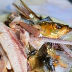 ti a ramas un os de peste in gat cat este de periculos si ce trebuie sa faci imediat 69af2b797c937