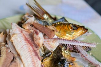 ti a ramas un os de peste in gat cat este de periculos si ce trebuie sa faci imediat 69af2b797c937