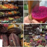 video romanii au prins gustul fructelor exotice cum s au transformat aprozarele clasice in afaceri cu rambutan jackfruit sau mangustan 69b797b96468a