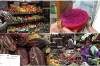 video romanii au prins gustul fructelor exotice cum s au transformat aprozarele clasice in afaceri cu rambutan jackfruit sau mangustan 69b797b96468a