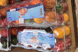 cat de sanatoase sunt de fapt ouale vopsite din kaufland romania ce scrie pe eticheta 69d35554165af