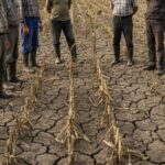 cinci socuri succesive au decimat sectorul agricultura se confrunta cu cel mai grav dezechilibru structural din ultimele trei decenii 69ef9614c38e9