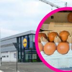cu cat a ajuns sa se vanda un singur ou in magazinele lidl din romania acum cu 9 zile inainte de paste 69cf6f1e51f41