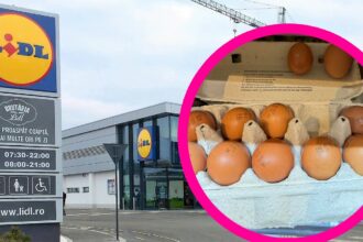 cu cat a ajuns sa se vanda un singur ou in magazinele lidl din romania acum cu 9 zile inainte de paste 69cf6f1e51f41