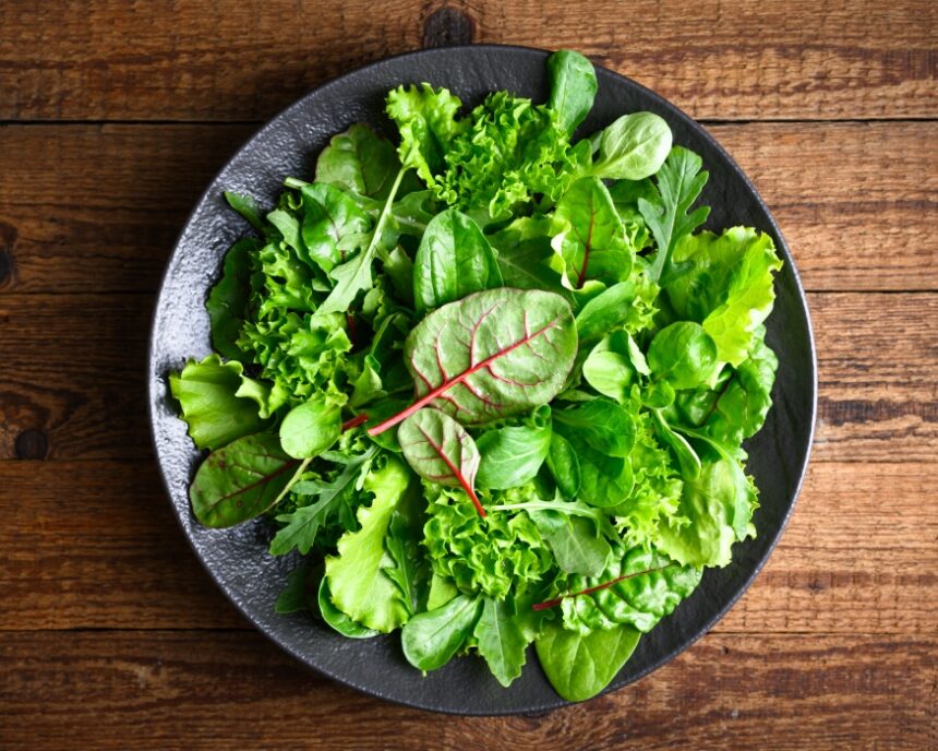 cum sa depozitezi corect salata verde ca sa ramana proaspata mai mult timp 69d24569aaaf2