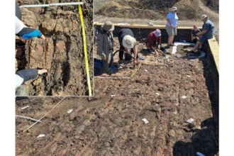 descoperire arheologica senzationala in romania comunitate de acum 6 000 de ani fara lideri puterea nu era concentrata intr o elita ci gestionata colectiv 69e1d5d0e87b0