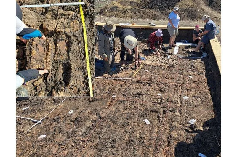 descoperire arheologica senzationala in romania comunitate de acum 6 000 de ani fara lideri puterea nu era concentrata intr o elita ci gestionata colectiv 69e1d5d0e87b0