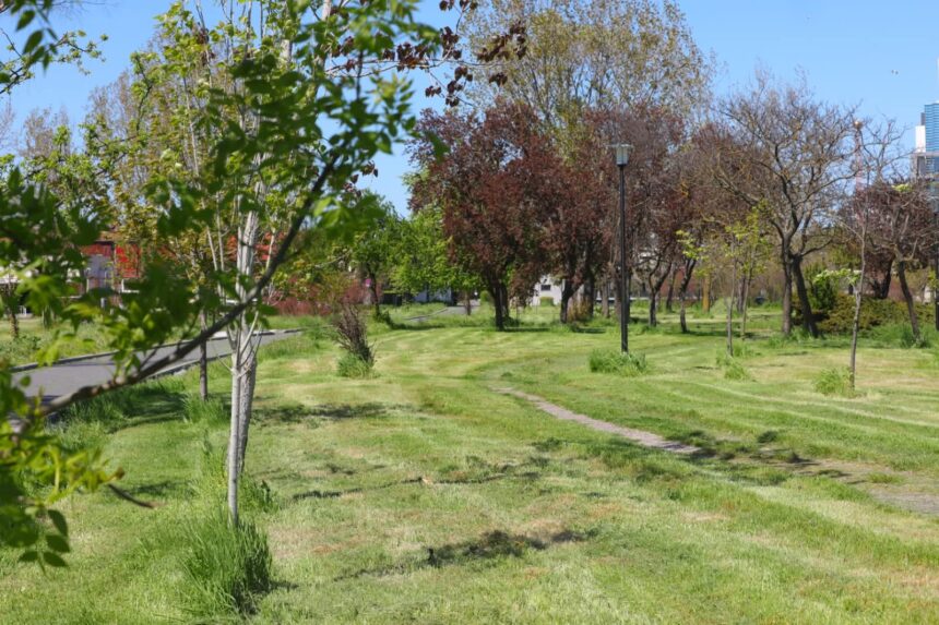 dezmembrare a terenului din parcul tabacarie aprobata in cl constanta separarea proprietatii municipale de cea judeteana pentru reabilitare si investitii 69f35305531ff