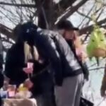 imagini dezolante de paste la malul marii matichescu psd in loc sa sprijine litoralul ministra buzoianu il blocheaza si il amendeaza a distrus orice forma de organizare 69dcc80cdeb96