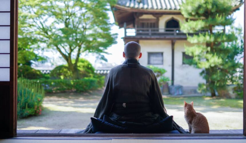 intelepciunea japoneza care reduce tensiunea si te ajuta sa treci peste orice 69eaef79ab9cc